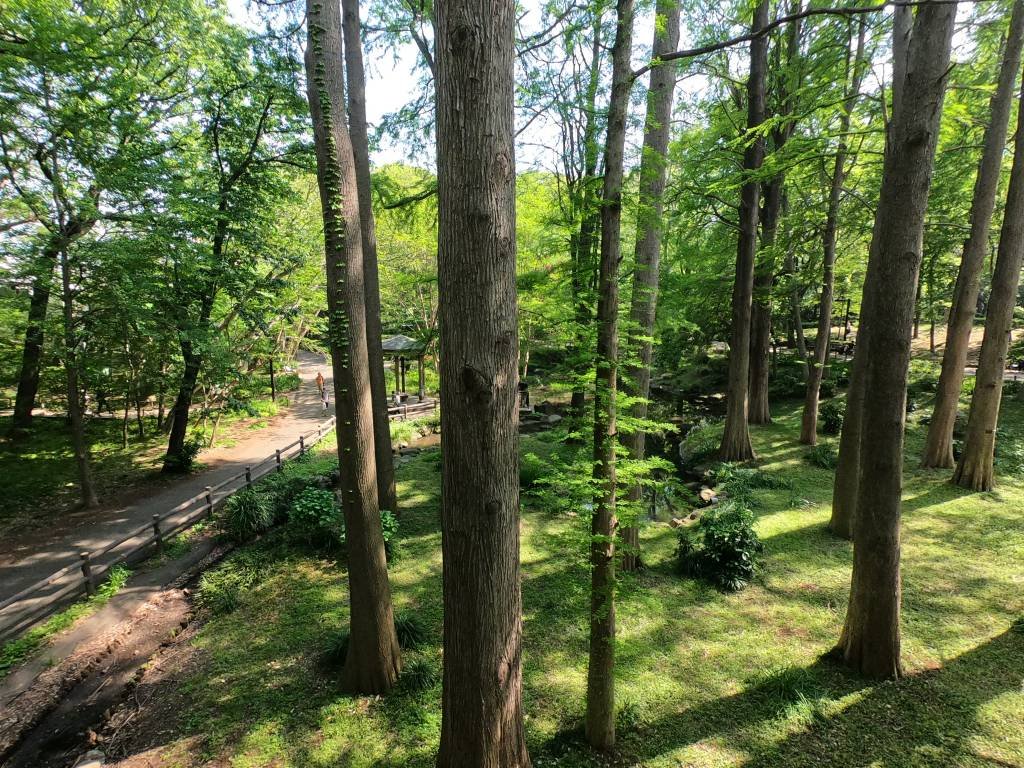 🌳 임시의 숲 공원(린시노모리코엔) 이미지 8